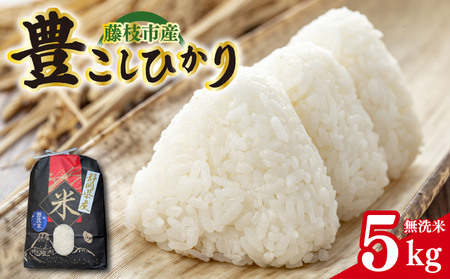 【令和７年産】新米豊こしひか 無洗米 5kg
