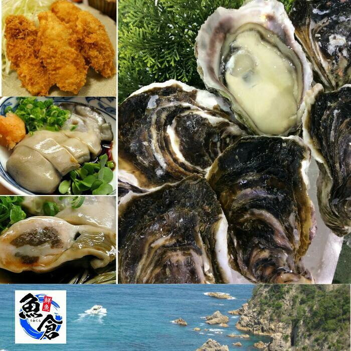 【ふるさと納税】【選べる内容量】鳥取県産　天然岩ガキ『夏輝』　おまかせ2kg(約6～9個) 又は3kg(約7～12個) 牡蠣 カキ※1個の重さによって個数が変わります※着日指定不可※2025年6月上旬～8月中旬頃に順次発送予定