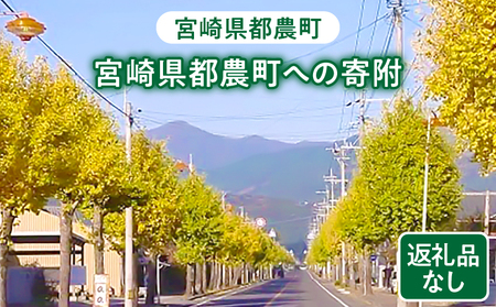 ≪返礼品なし≫宮崎県都農町への寄附【1口 100,000円】T000-001-12