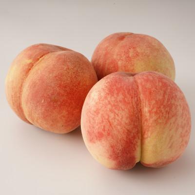 ふるさと納税 坂出市 【発送月固定定期便】坂出市フルーツ定期便全3回 |  | 01