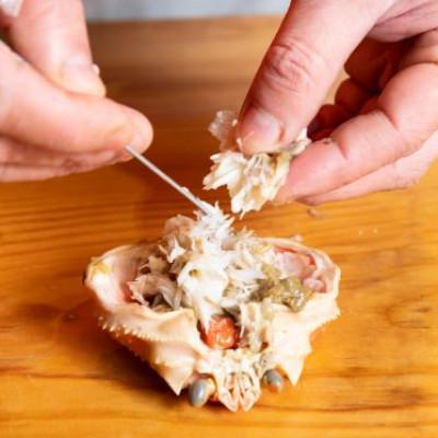 ふるさと納税 越前町 浜茹で越前せいこがに約220〜250g1杯　かに酢&かにスプーン付き |  | 02