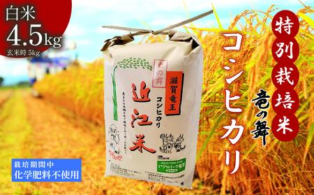 こしひかり 白米 5kg 2025年産 竜の舞 特別栽培米 国産 安心 安全 近江米 米 お米 白米 お弁当 玄米 産地直送 滋賀県 竜王町 送料無料