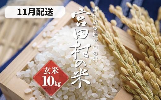 【予約受付】【令和７年米】【新米】長野県産　減農薬栽培(栽培期間中)コシヒカリ／玄米／10kg・20,000円／11月配送
