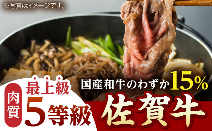 【霜降り A5ランク】佐賀牛 肩ロース スライス 500g（すき焼き用）【山下牛舎】 [HAD042]