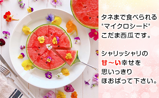 【先行予約】茨城県産ピノガール約3kg（2個）【2026年5月中旬～6月中旬ごろ発送予定】【 こだますいか 小玉すいか スイカ 西瓜 果物 くだもの フルーツ 国産 季節限定 人気 贈り物 お取り寄せ