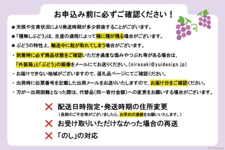 【2025年発送】山梨県産 ハウスピオーネ ３～４房 （約1.8kg）[全国農業協同組合連合会 山梨県本部 山梨県 韮崎市 20742855] ぶどう ブドウ 葡萄 ピオーネ 1.8キロ フルーツ 果