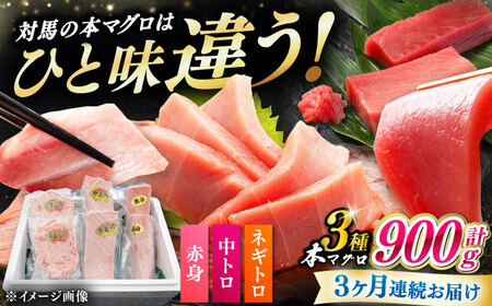 【全3回定期便】 対馬産 本マグロ 3種 計900g（赤身/中トロ/ネギトロ）《対馬市》【対海】 冷凍配送 食べ比べ 贈り物 魚介類[WAH040]