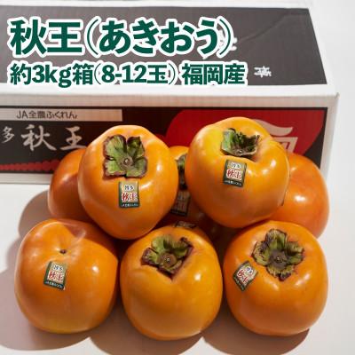 ふるさと納税 直方市 【先行受付】秋王(あきおう)　柿　約3kg箱(8-12玉)(直方市)