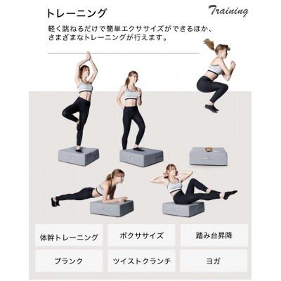 ふるさと納税 館林市 ぽんちゃん トランポリンクッション (ライトグレー) 40cm×40cm 高反発 室内用 |  | 02