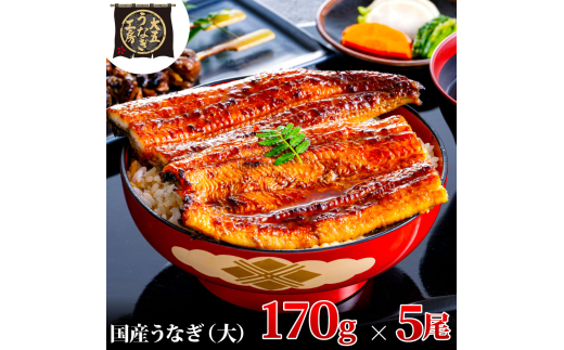 [№5695-1777]うなぎ蒲焼 170g×5尾(850g) うなぎ ウナギ 鰻 蒲焼 蒲焼き冷凍 国産 大五 大五通商 静岡 島田市