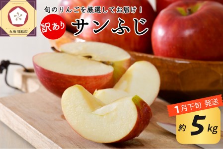【2026年1月下旬発送】 【訳あり】 りんご 約5kg サンふじ 青森りんご