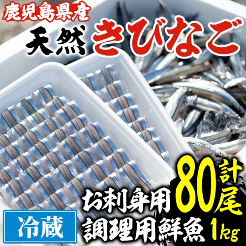 鹿児島県阿久根産！天然きびなごのお刺身と鮮魚セット(1kg・40尾×2パック) 国産 九州産 鹿児島産 鮮魚 魚介 セット【濱崎魚類】a-12-5