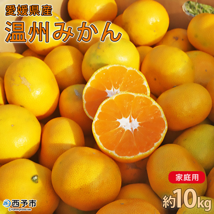 ＜愛媛県西予市産 温州みかん 家庭用 約10kg＞ 果物 くだもの うんしゅうみかん ウンシュウミカン ミカン 蜜柑 柑橘 フルーツ 自宅用 訳あり 旬 特産品 産地直送 段畑みかん株式会社 愛媛県 西予市
