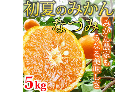 初夏のみかん なつみ５kg ふるさと納税 みかん ｜みかん ミカン 蜜柑 フルーツ みかん ふるーつ みかん 果物 みかん くだもの ※着日指定不可 ※2026年4月中旬頃〜2026年4月下旬頃に順次発送予定