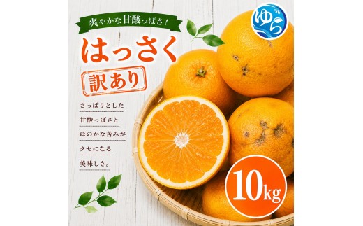 和歌山県産 はっさく 訳あり 10kg  サイズおまかせ / 八朔 ハッサク 柑橘 果物 和歌山 ※2027年2月中旬～3月中旬に順次発送予定 ※北海道・沖縄・離島配送不可 【eiw021-c-10】