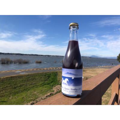 ふるさと納税 かすみがうら市 かすみがうら市産ブルーベリーをブレンドしたスパークリングワイン　375ml