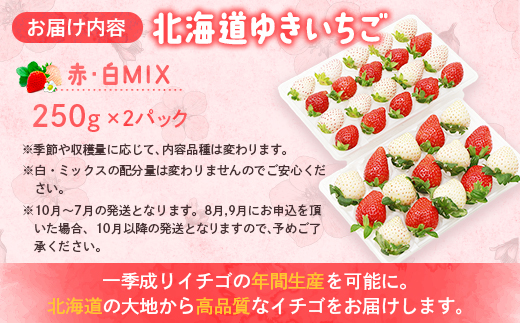 【北海道産】ゆきいちご（ゆきぼたん/すず）赤白ＭＩＸ×２Ｐセット 250g×2　計500g【59003】_イメージ5