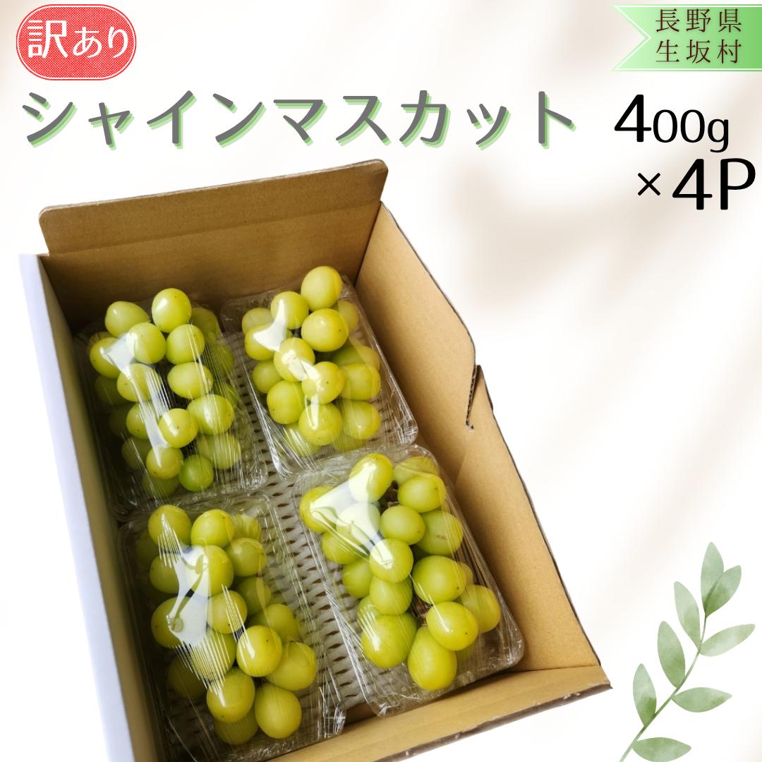 
                  訳あり シャインマスカット（400g×4パック） | シャインマスカット しゃいんますかっと 信州産 長野県 生坂村 [風の杜農園] 
                
