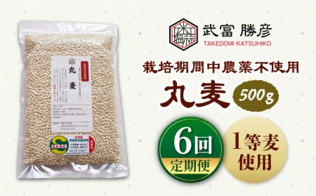 【全6回定期便】丸麦500g（1等麦使用）【葦農】特別栽培農産物 麦[HAJ041]