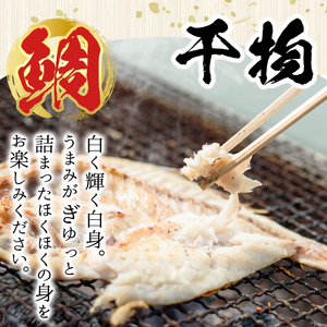 No.031 海産物セット 天然鯛！タイと旬の魚の干物・旬の魚の竜田揚げの素セット(干物6尾以上・竜田揚げの素1袋・計約3.0kg)【吹上町漁協】