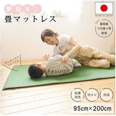 ふるさと納税 柳川市 畳マットレス超ふっくら仕上げ《グリーン》　約95cm×約200cm