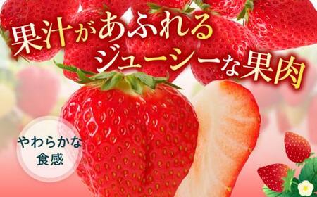 訳あり ご家庭用 さぬきひめいちご(約250g×8パック)【2024年2月上旬～2024年5月中旬】【T006-111】