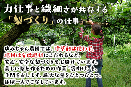 玉東梨 約5kg ゆみちゃん農園 梨