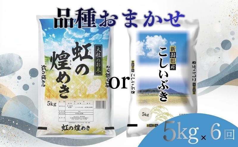
                  【7月下旬より配送】 新潟県産 品種おまかせ 5kg  6か月定期便 新潟県 新潟市産 令和7年産 お米 精米 米 ご飯 送料無料
                