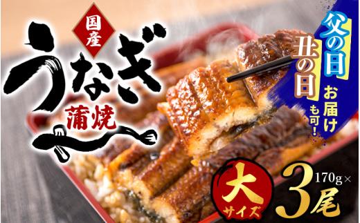 【丑の日までにお届け!!】大型サイズ 国産うなぎ蒲焼き 3尾 化粧箱入【2025年7月19日までにお届け】/ うなぎ 土用の丑の日 国産うなぎ 蒲焼 蒲焼き かば焼き 鰻屋 冷凍 真空 ギフト【uot303-dy】