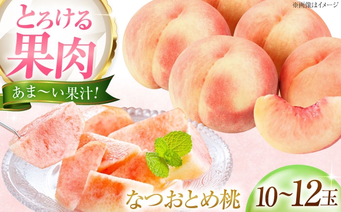 
                  【先行予約】桃 藤渕果樹園のなつおとめ桃 10～12玉入り 〈2026年7月～発送〉 ／ フルーツ 果物 くだもの 食品 人気 おすすめ 送料無料 桃 もも モモ なつおとめ桃 季節のフルーツ なつおとめ 甘い ジューシー 旬 夏 産地直送 愛媛 内子町 国産 ふるさと納税 お取り寄せ ギフト 特産品 四国 返礼品 【株式会社内子フレッシュパークからり】 [BKAD061]
                