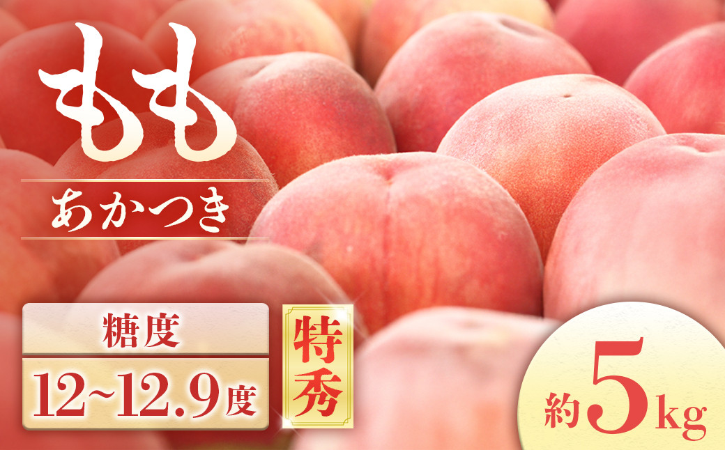 もも　あかつき＜特秀＞【10～18玉】