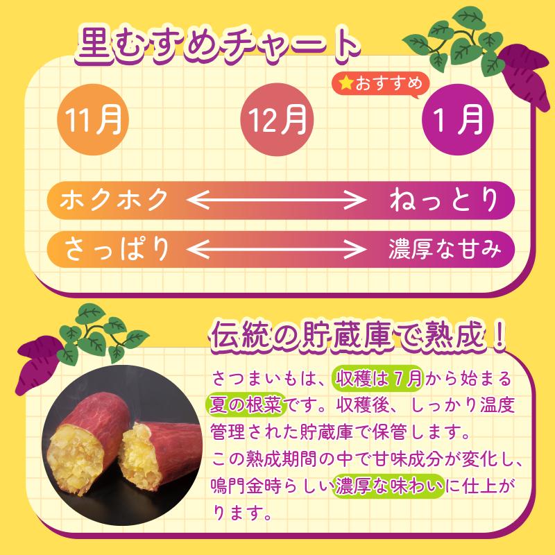 なると金時 里むすめ 5kg Mサイズ 12月発送 《 徳島と言えば なると金時 ！》 さつまいも 鳴門金時 いも 芋 焼き芋 干し芋 スイーツ 貯蔵庫 熟成 国産 ブランド お土産 徳島 鳴門