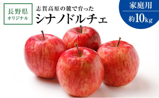 志賀高原の麓で育った シナノドルチェ （家庭用）約10kg 【 りんご 10kg フルーツ 長野県 長野 】