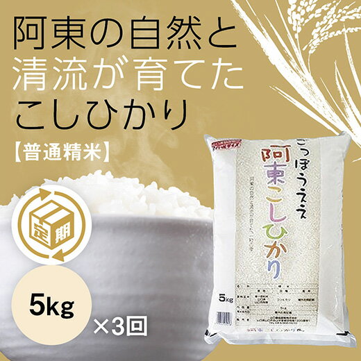 B107【ふるさと納税】 阿東こしひかり（普通精米5kg）3か月定期便