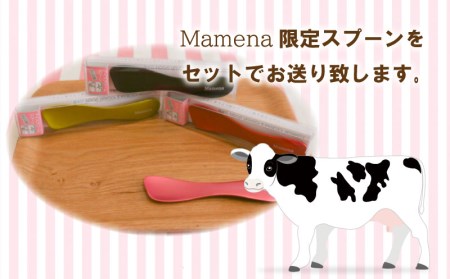 アイス ジェラート 8種8個 アイス EP