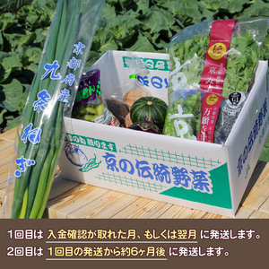 【 定期便 】 京野菜 野菜 6種 程度 定期便 2回 (野菜 詰め合わせ 野菜 京都 野菜セット 季節 旬 栄養食 栄養野菜 九条ネギ 野菜 万願寺 野菜 賀茂なす 野菜 京都府産 野菜 数量限定 