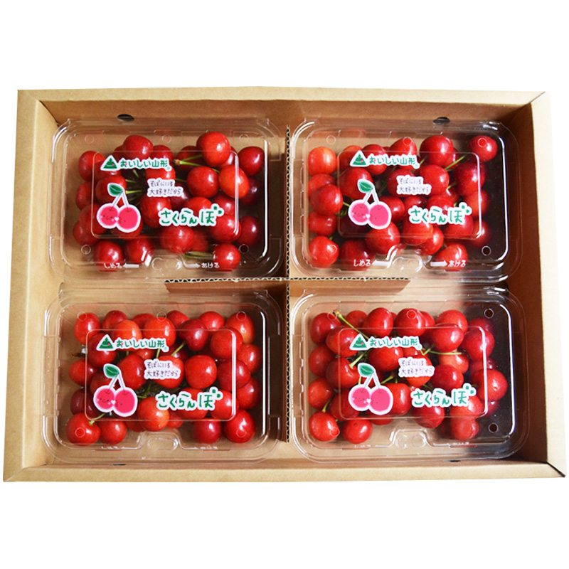 山形のさくらんぼ 紅てまり 約800g Lサイズ以上(200g×4) 【令
