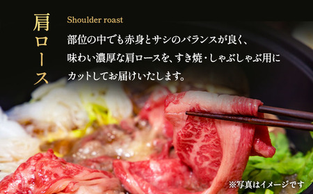 牛肉 くまもとあか牛 肩ロース すき焼 ・ しゃぶしゃぶ用 約500g×1パック 