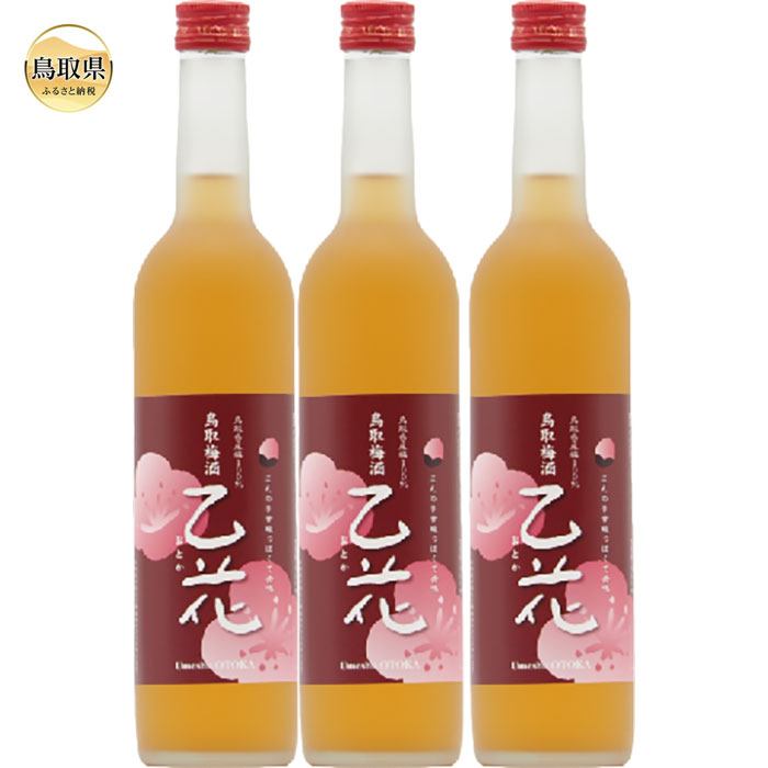 【ふるさと納税】B25-029 鳥取県の美味しい酒　梅酒　乙花（おとか）　3本セット