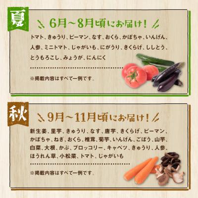 ふるさと納税 八代市 旬の農産物詰合せ 7品以上 おたのしみセット_065-2336-C |  | 02