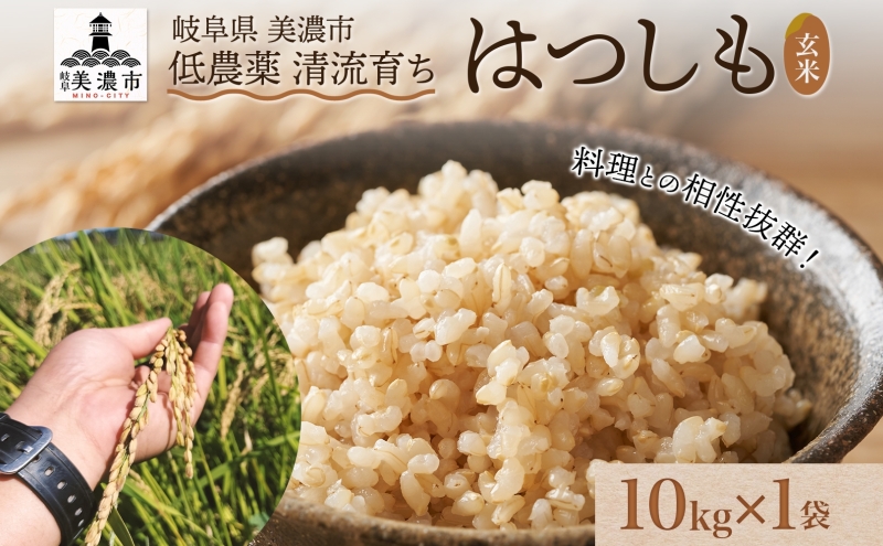 令和7年産 はつしも 玄米 10kg×1袋 低農薬 清流育ち 新米 お米 米 ごはん ご飯 ハツシモ R7年産 あっさり ふっくら ブランド米 大粒 幻の米 お取り寄せ 産地直送 送料無料 美濃グリーン 岐阜県 美濃市