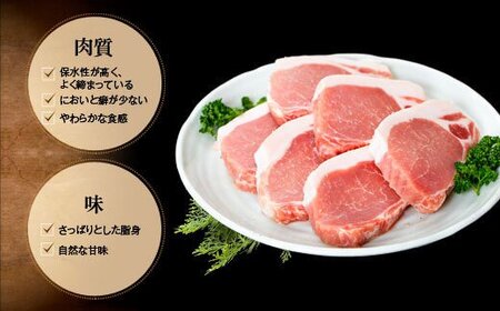 【A05051】鹿児島県産厚切り豚ロースステーキ用(約1kg)鹿児島 国産 九州産 豚肉 ポーク ロース 厚切り とんかつ トンテキ ステーキ【大将食品】