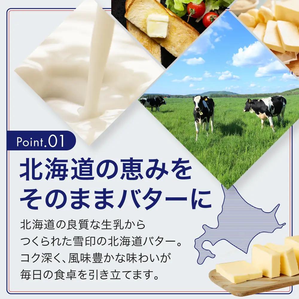 【3か月 定期便】切れてる 雪印 北海道 バター（10g×100個）　| バター