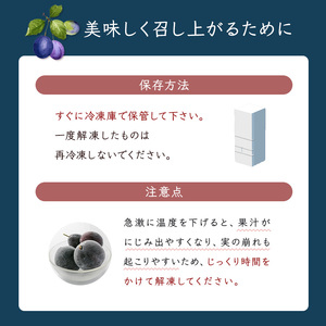 冷凍プルーン 500g 2パック 1kg 冷凍プルーン