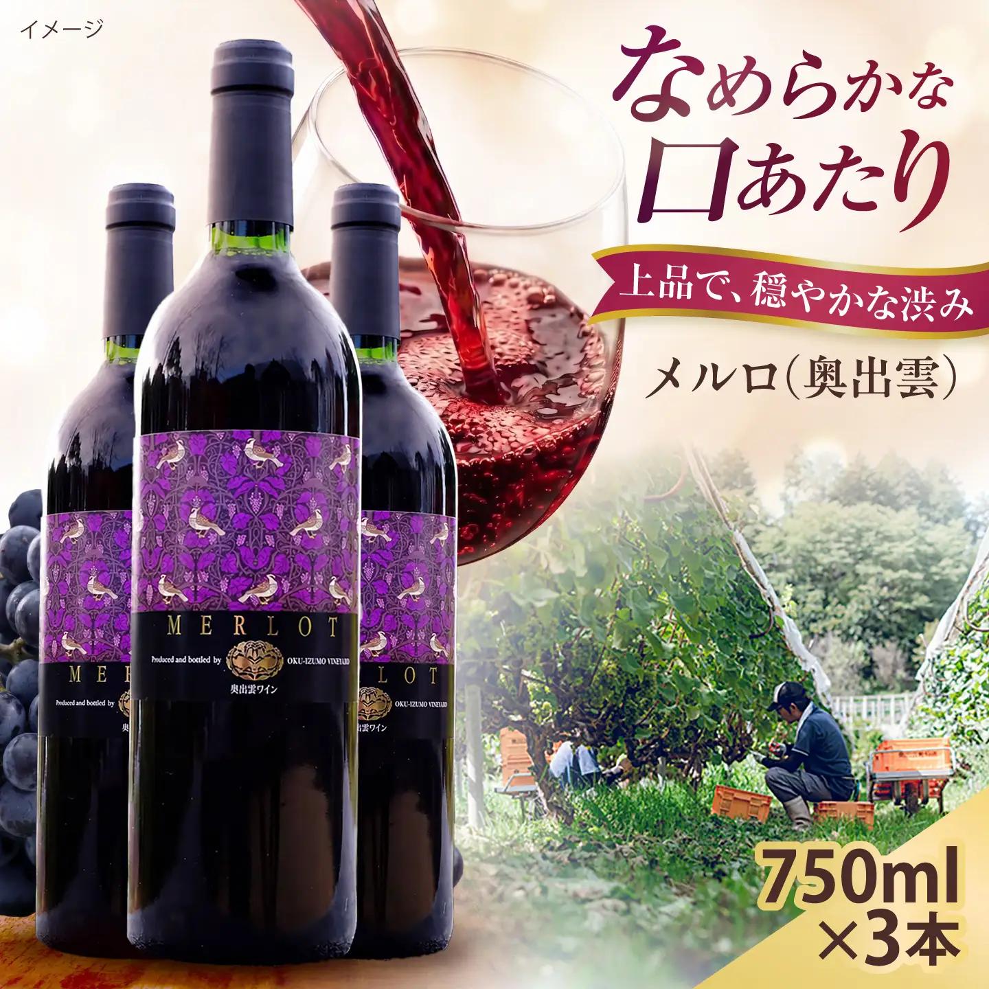 奥出雲ワイン メルロ 3本 750ml×3 赤ワイン 国産 島根県雲南市/有限会社奥出雲葡萄園[AICS097]