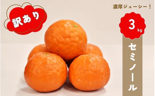 
										
										【先行予約】橋本農園の 訳あり セミノール 3kg 【2025年3月中旬から4月中旬に順次発送】 / セミノール 柑橘 フルーツ 果物 くだもの 先行予約 【mht019】
									