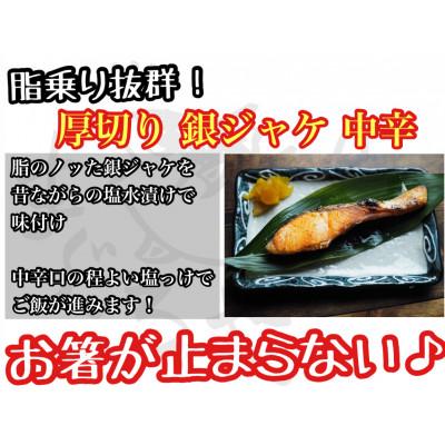 ふるさと納税 小田原市 【定塩中辛】厚切り銀鮭 約10切 銀シャケ半身1枚分【神奈川県小田原市早川】 |  | 01