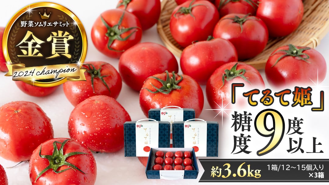 
            糖度9度以上 トマト 【 2025年収穫分 先行予約 】 スーパーフルーツトマト てるて姫 中箱  約1.2kg×3箱 【12〜15玉/1箱】 フルーツトマト ブランドトマト とまと てるて姫 野菜 人気 金賞 受賞 ギフト 贈答 茨城県 桜川市 【2025年2月上旬発送開始】[BC035sa]
          