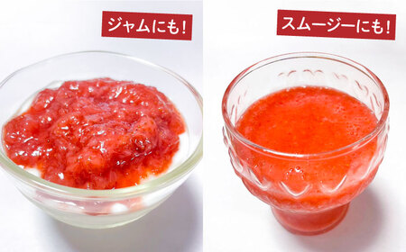 【2026年3月-発送】【訳あり】【数量限定】冷凍 カットいちご「恋みのり」 加工用 約500g×4P / 冷凍 いちご イチゴ 苺 フルーツ 冷凍フルーツ ジャム / 南島原市 / あゆみfarm 