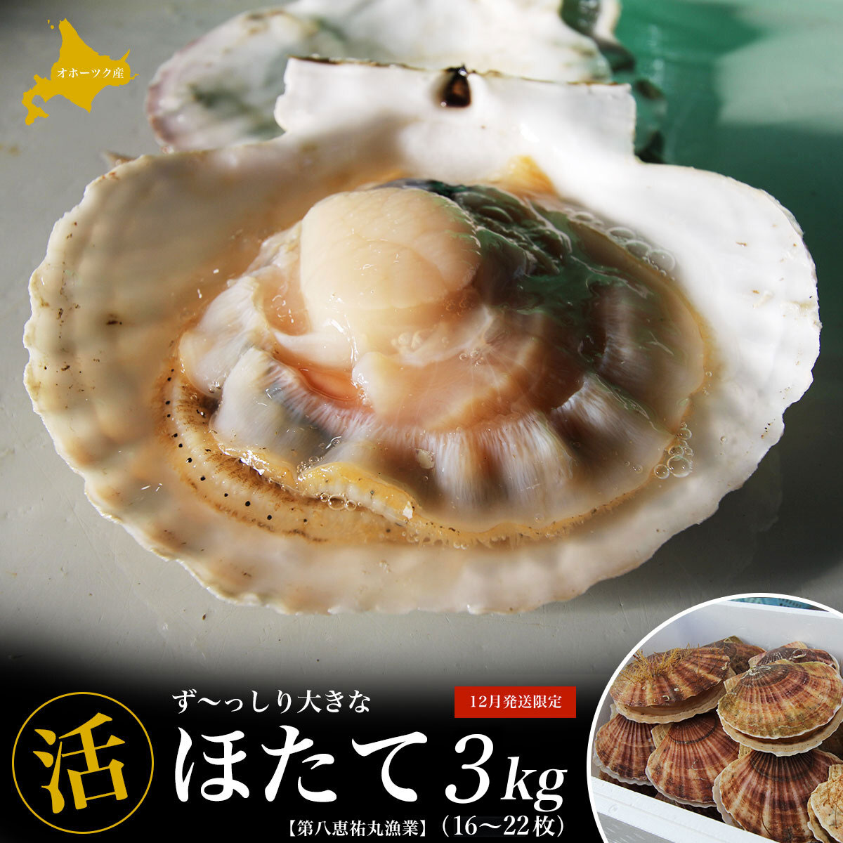 【ふるさと納税】【12月発送限定】オホーツク産『活』 ほたて 選べる容量 3～8kg 【 ふるさと納税 人気 おすすめ ランキング 魚介類 貝 ほたて ホタテ 帆立 帆立貝柱 ホタテ貝柱 ほたて貝柱 新鮮 北海道 佐呂間町 送料無料 】 SRMN022-v